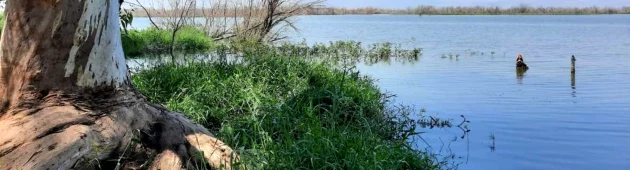 השמיים משתנים: שלוש המלצות לפעילות בטבע בחודש תשרי