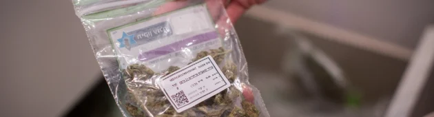 הבטחות ללא גיבוי: המחקר שמעורר ספק בנוגע ליעילות הקנאביס