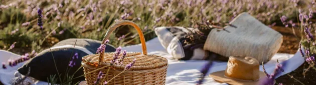 תביאו סל ומחצלת: 5 מיקומים מנצחים לערוך בהם פיקניק 