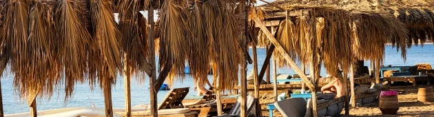 מהממ"ד לחושה בסיני, בעיצומה של המלחמה: "לא מצטרפים למשחק"