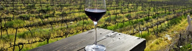 שישי חופשי חורפי: 4 מקומות להתחמם בהם כשבחוץ סגרירי