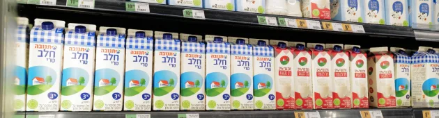 שבועות היקר בהיסטוריה: איפה ההבטחות להוזלות?