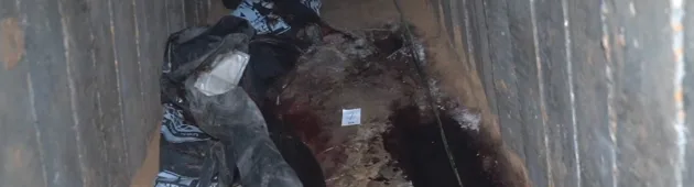 דו"ח: "שורדי שבי סבלו מהרעבה והתעללות, החטופים בסכנת חיים"