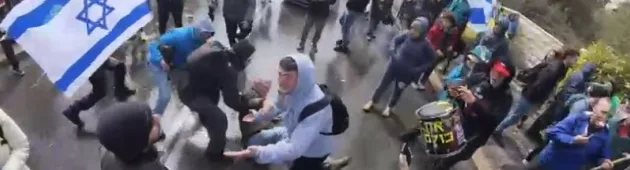 תיעוד מהמחאה: יאיר גולן מנסה לסייע למפגין - ומוטח על הקרקע