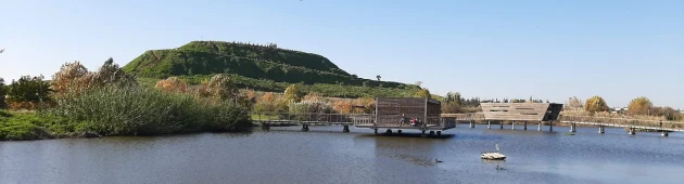 קפה עם נוף לאגם: שישי חופשי בעגלת קפה מול אגם פסטורלי