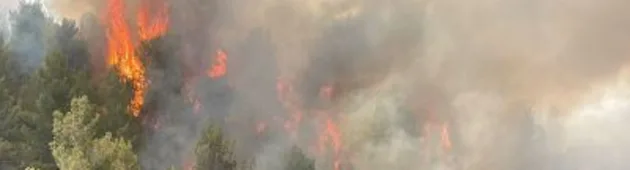 שירותי הכבאות: נבלמה השריפה באזור עין כרם