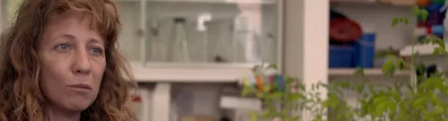 תגלית מרעישה: מחקר ישראלי מצא שחרקים מגיבים לקולות של צמחים