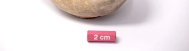 עדות בת 2,000: נמצא נר חרס מהתקופה החשמונאית באזור י-ם