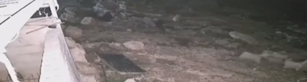 שטח ההפקר: חיילים תועדו מלווים מתנחלים שפגעו בפלסטינים