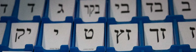 מאחורי המספרים: כמה ישראלים חוששים מפגיעה בטוהר הבחירות?