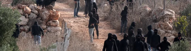 אלימות בשומרון: ישראלי נפצע קל סמוך לבית ליד, מתנחלים גנבו יבול ושחטו צאן