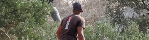 שר החוץ האמריקני על תקיפת הצלמת: "ביקשנו מישראל לחקור"