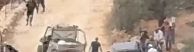תיעוד: מתנחלים משחיתים מכוניות וגונבים צאן - בנוכחות צה"ל