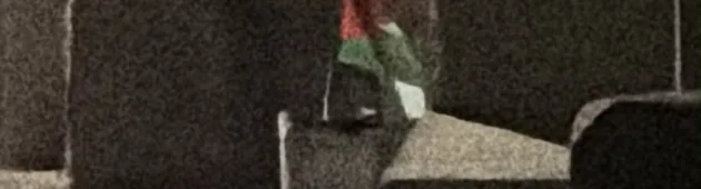לצד דגל אש"ף: אותר מטען דמה עם כיתוב "גדוד נוח'בות" בבנימין
