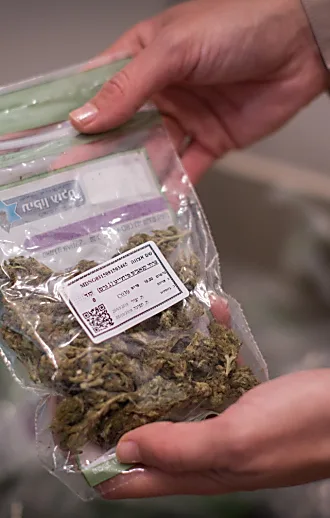 כשלא מתייחסים לקנאביס כאל תרופה - החולים נפגעים | דעה