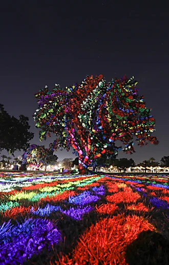 יוצאים מהבית: אתרים ואירועים לכל המשפחה בפסח ברחבי הארץ