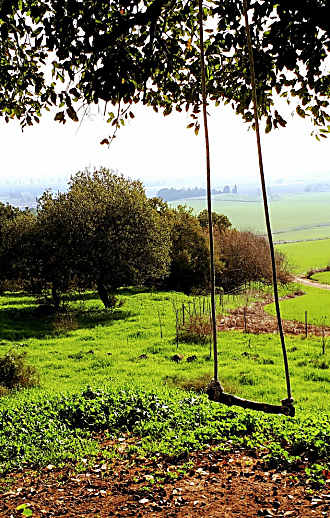 עמק הסיליקון של יזרעאל: היכן מטיילים ומבלים ביישוב הפסטורלי