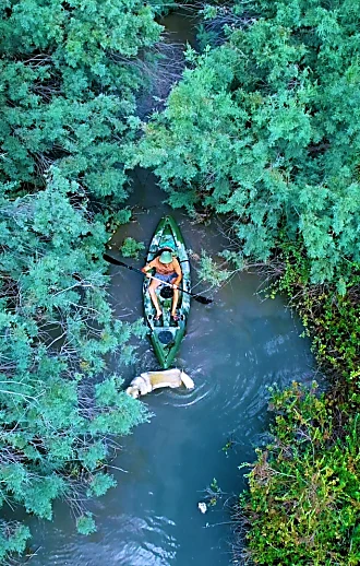 זה הנחל הסודי בלב חיפה שאתם חייבים להכיר