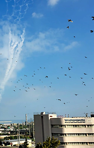 ההיערכות בחיזבאללה - והחשש בישראל: תמונות "נטישה" של הצפון