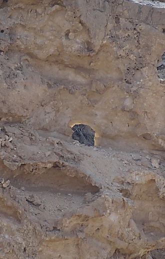 זה קורה רק פעם בשנה: ההר הסגור ייפתח לרגל תופעת טבע ייחודית