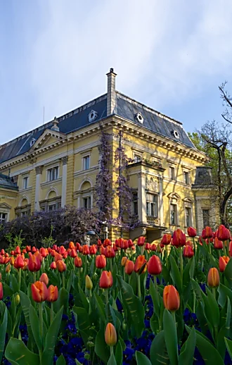 זולות, קרובות ואוהדות ישראל: אלו המדינות שמחכות לכם באביב