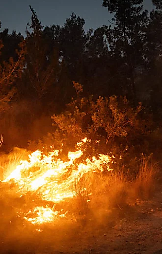 שריפה פרצה סמוך לחמת גדר; המשטרה פינתה את אתר הנופש