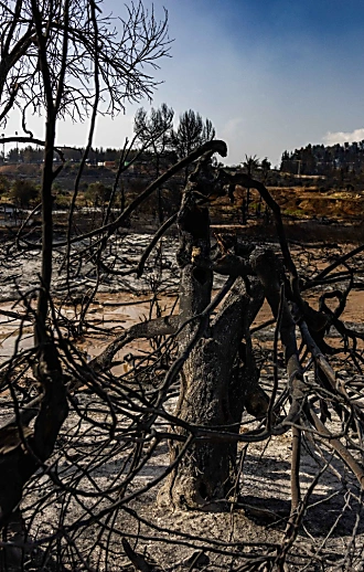 נתניהו: "ישנם 18 חשודים בהצתה"; במשטרה טוענים: "נעצרו 3"