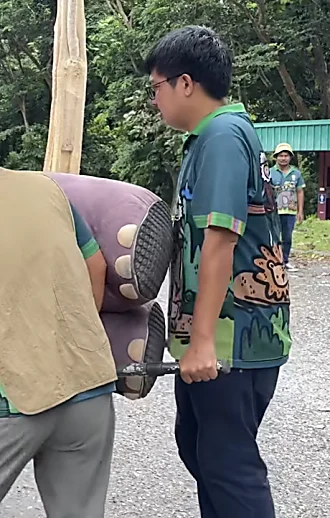 עובד מחופש להיפופוטם "תקף" את צוות גן החיות ופתח במנוסה