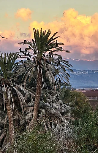 מרגישים את הסתיו בטבע: 4 פעילויות מהנות לכל המשפחה