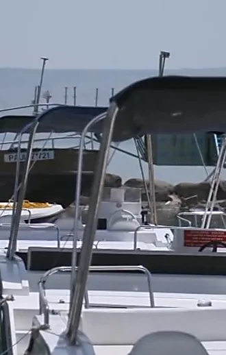 מחאת העסקים בטבריה: הסוחרים שפועלים להחזיר את התיירים לעיר