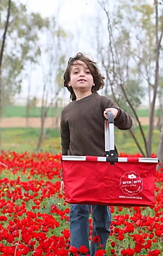 "דרום בלב" יוצא לדרך: מדריך המלצות האוכל השווה של הפסטיבל