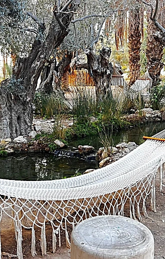 בסוף המדבר: חופשת חורף רגועה בריזורט וולנס יוקרתי