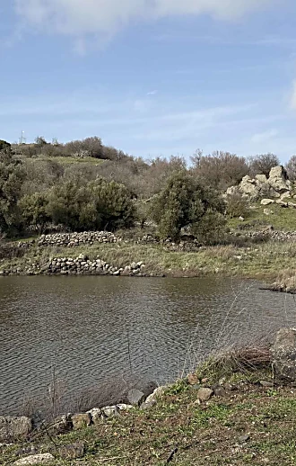 לראות קצת שלג: 4  המלצות ליום טיול באזור היפהפה כעת