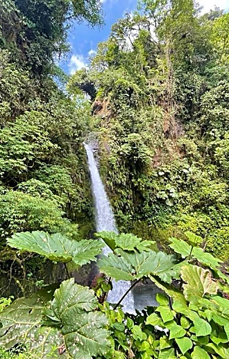הרפתקה משפחתית בלב הטבע: היעד שמחבר בין אדרנלין לרוגע