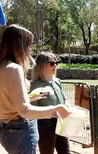 מה עושות החיות באזעקות? התמונות משגרת המלחמה בספארי