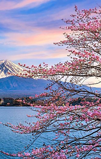 הזמן הוורוד: 3 המלצות מחוץ לקופסה במקום הכי יפה וקסום כעת