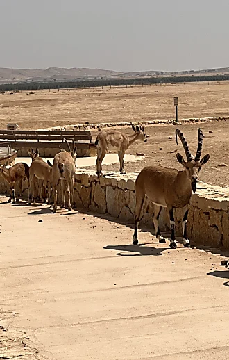 להתחיל מבראשית: בואו לטייל באזור המיוחד והרגוע לפני שמתחמם