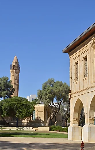 מתעוררת לחיים: המלצות ליום כיף בעיר המסקרנת בדרום