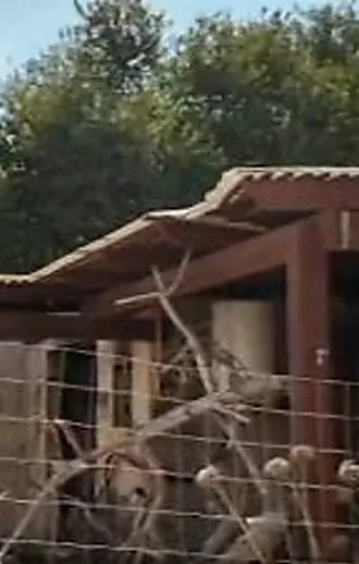 בדרך לקלפי: 7.10 יכריע את הבחירות?