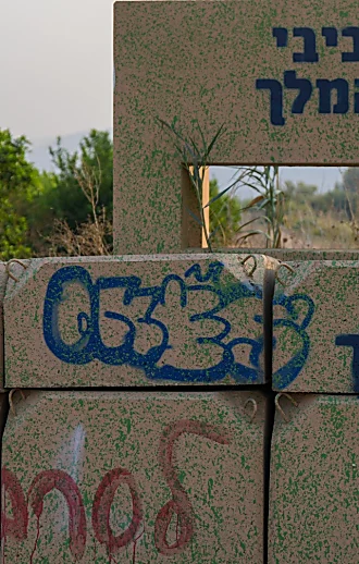 "אין מי שיחליף את ביבי": שיחה עם הליכודניקים של אזורי העימות
