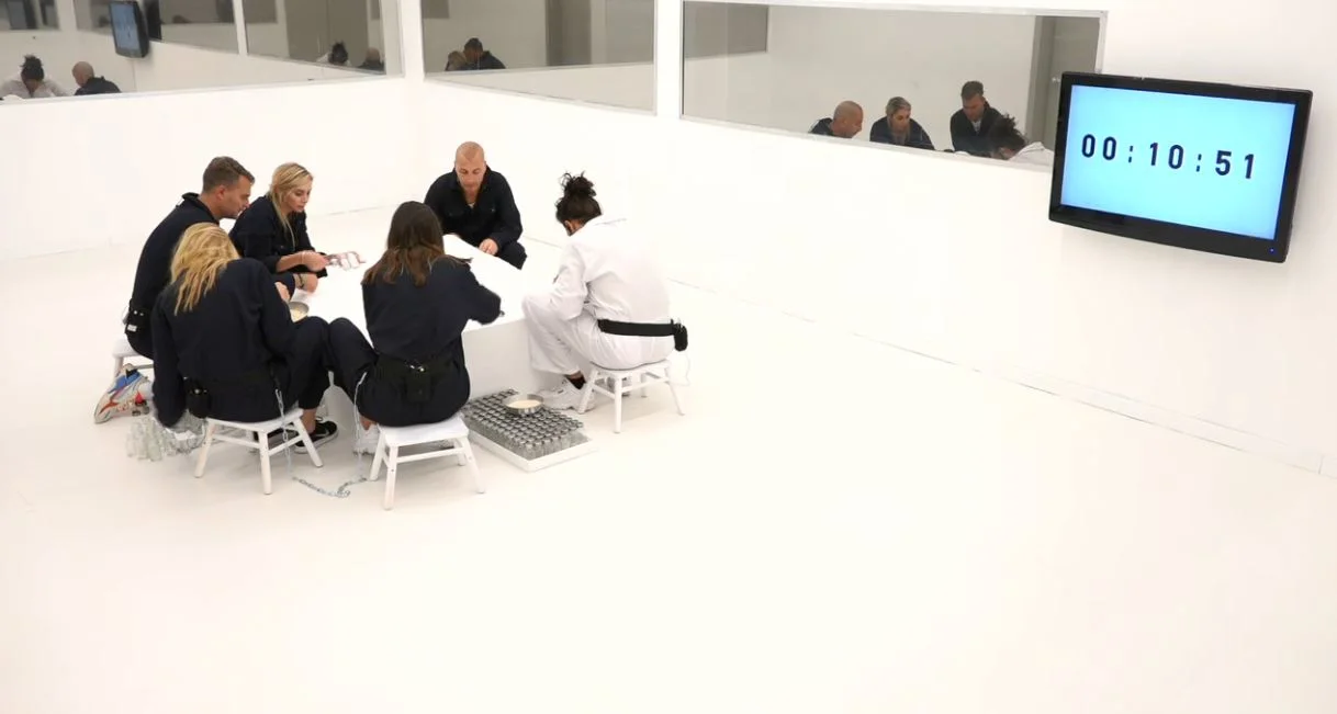 משימת מלח, האח הגדול VIP