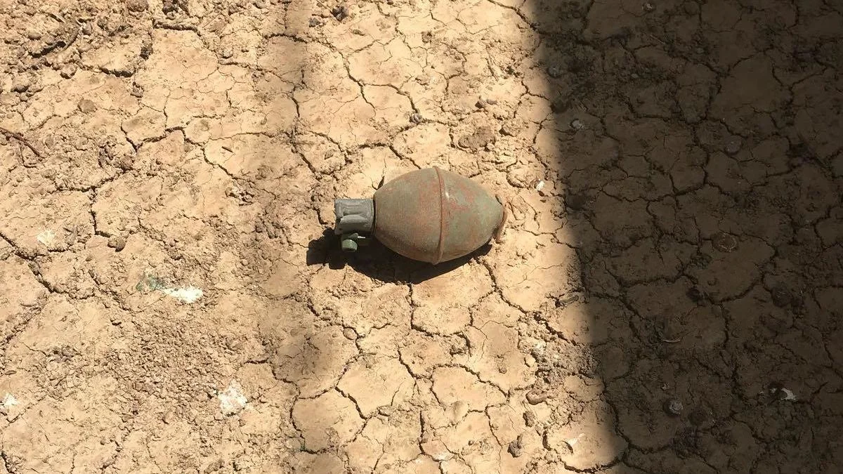 רימון (אילוסטרציה)