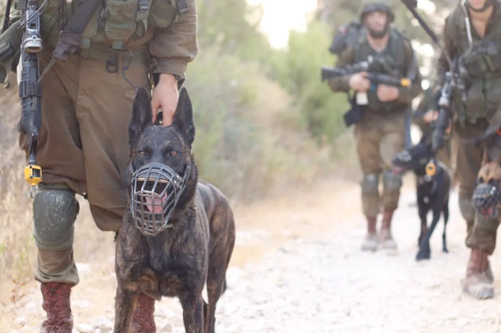 חיילי צה"ל מיחידת עוקץ עם כלבים