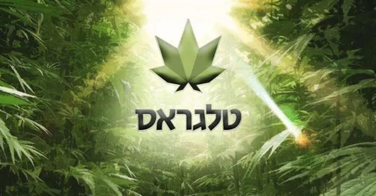 טלגראס