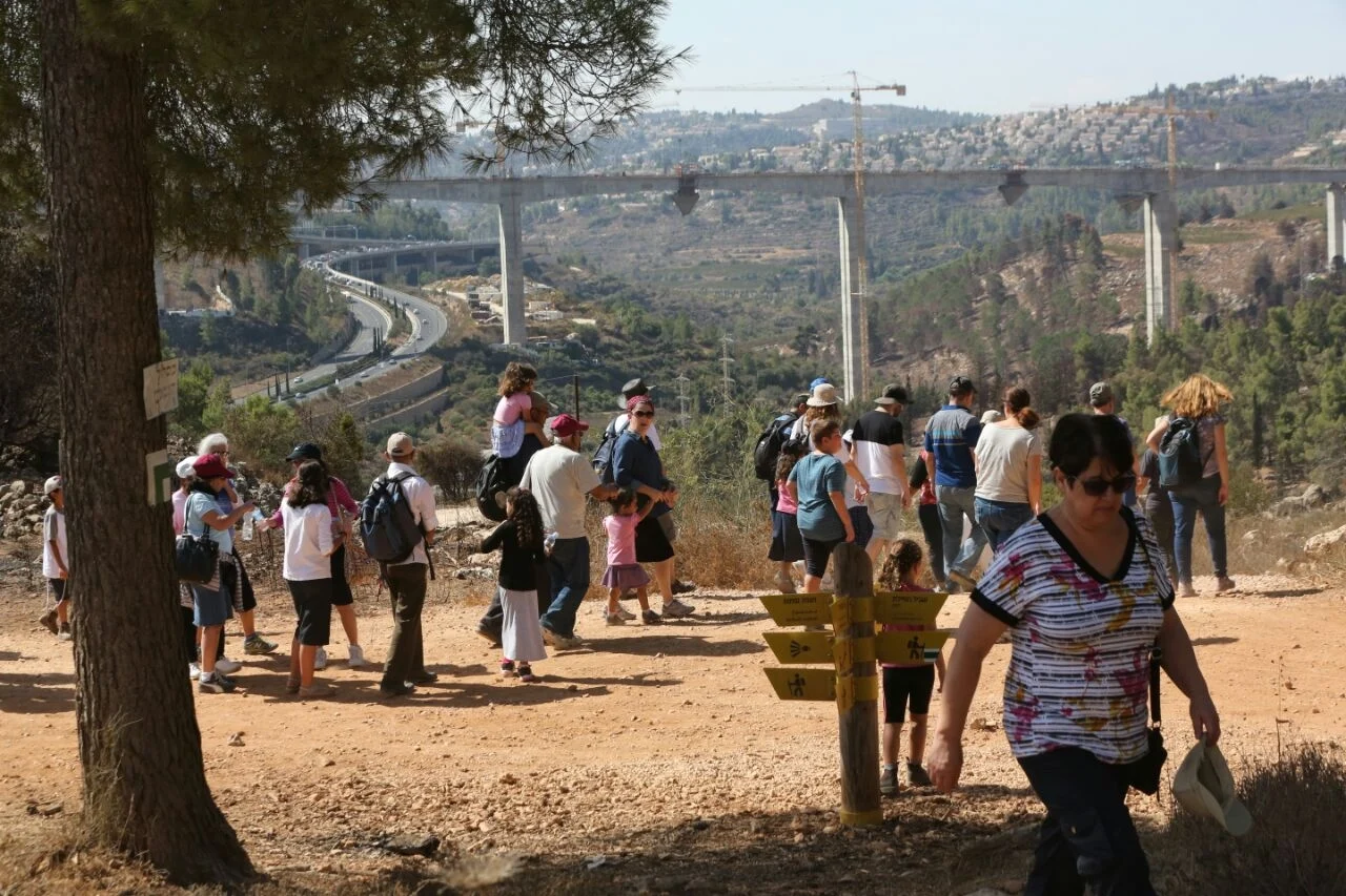 מזג אוויר נוח בימים הקרובים. מטיילים ביער מורדות רמות שבי-ם (ארכיון)