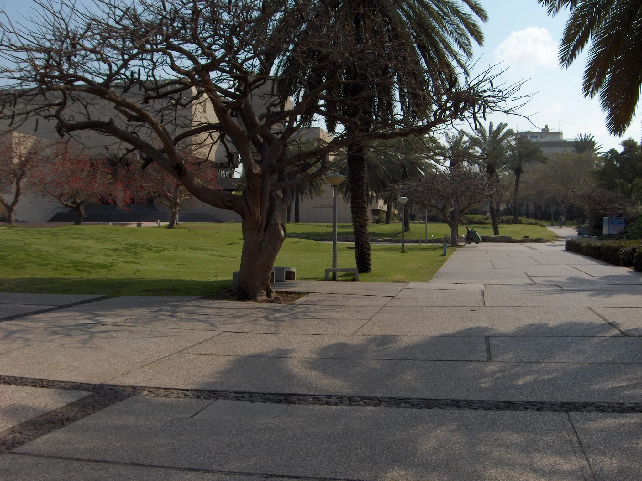 אוניברסיטת ת''א