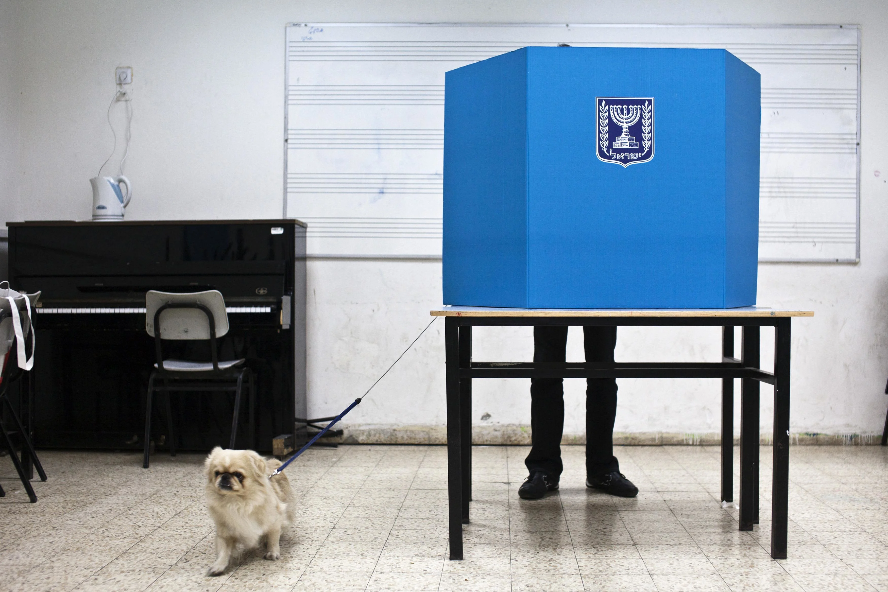 כלב השמירה של הדמוקרטיה (ארכיון)
