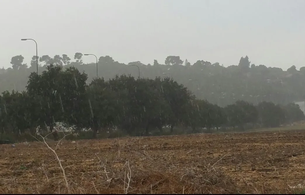 גשם מקומי בצפון הארץ