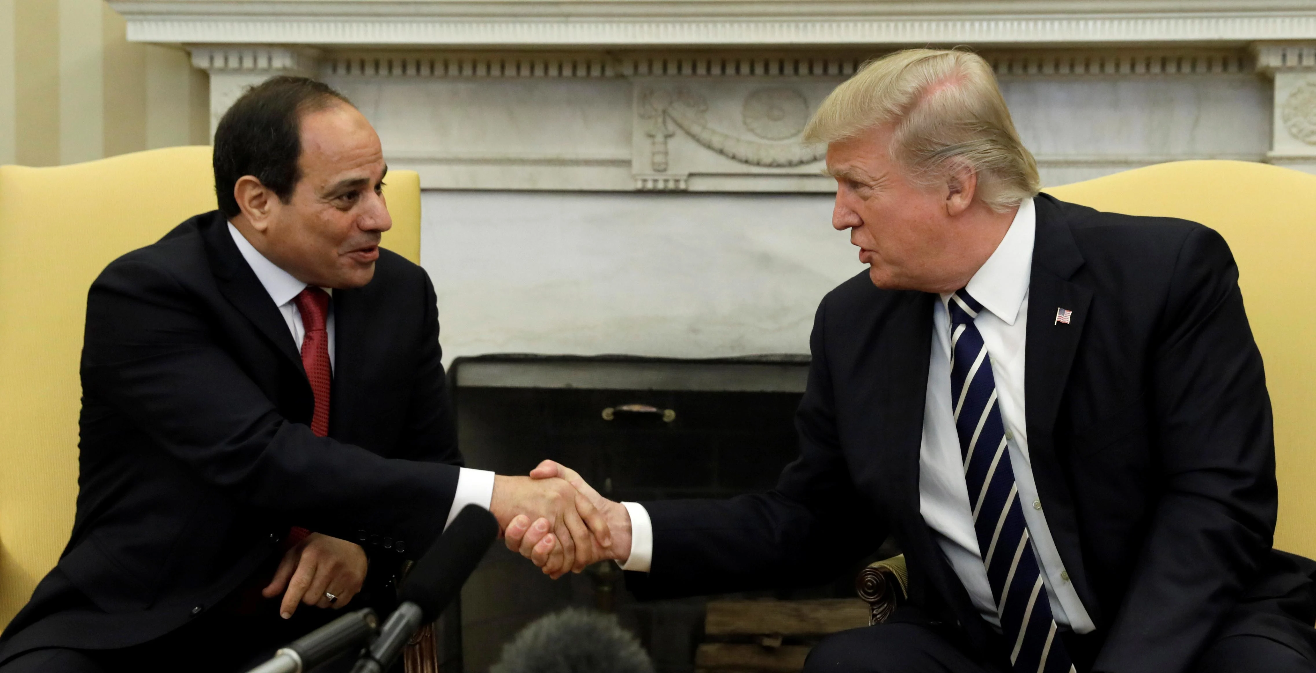 יובילו ועידת שלום מיוחדת? טראמפ וא-סיסי בפגישתם בבית הלבן
