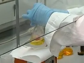 עובדים במעבדה (אילוסטרציה)